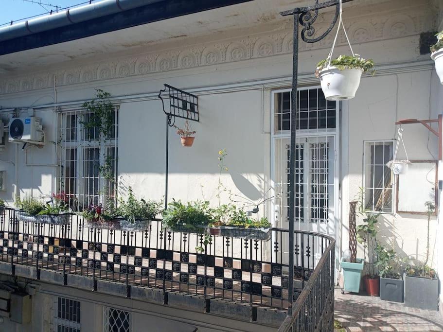 Appartement Or Working, Feel Good In The Retro Style Of A European Jiu Jitsu Champion! Budapest