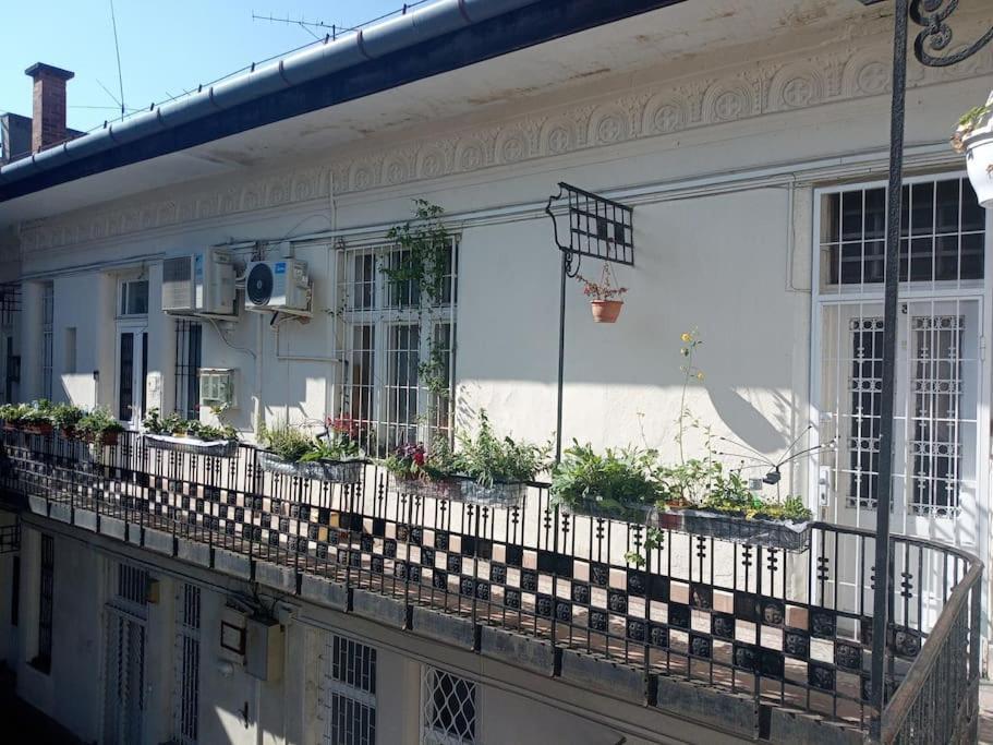 Appartement Or Working, Feel Good In The Retro Style Of A European Jiu Jitsu Champion! *
