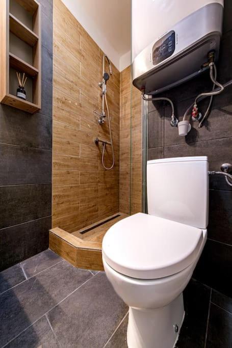 Chain Bridge Studio Apartment Budapest