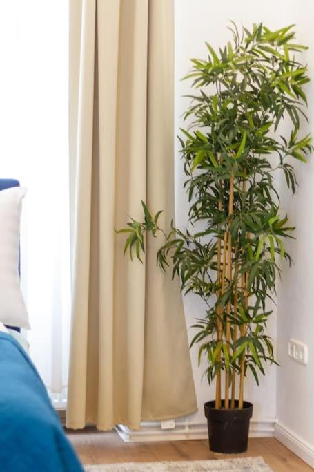 Opera 3br W Sauna By Newave Apartmán Budapešť