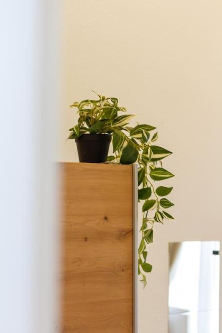 Opera 3br W Sauna By Newave Apartamento Budapest