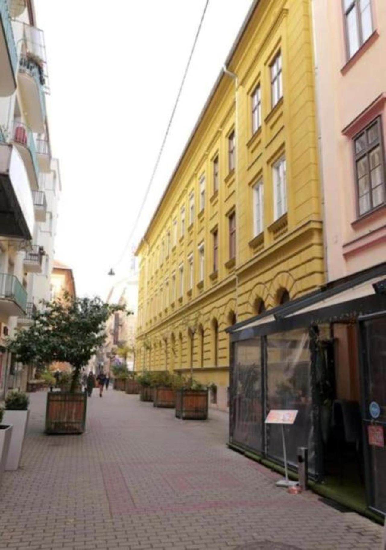 Premium Luxury Opera Near Opera And Basilica Appartamento