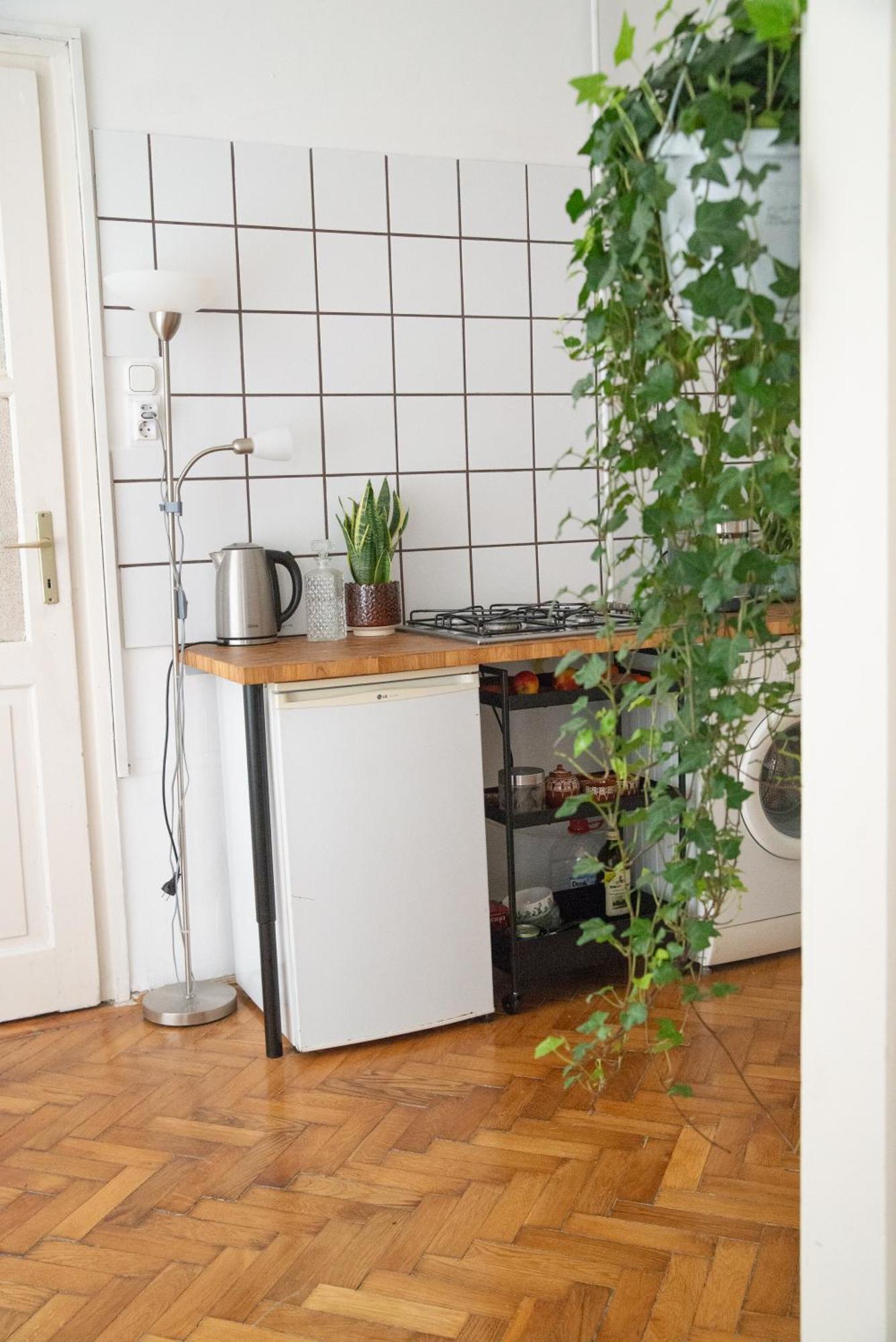 Apartament Pecorino's