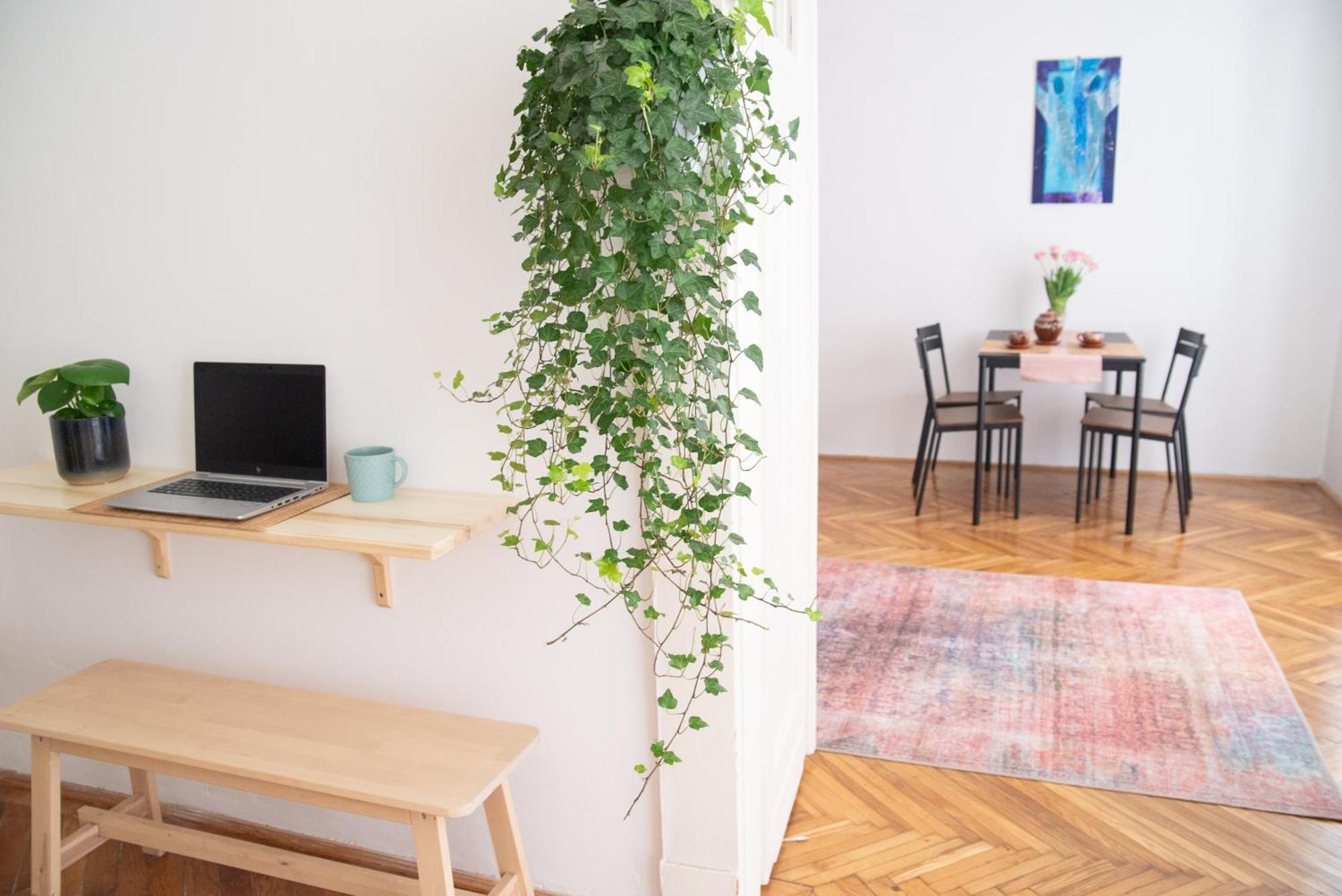 Apartament Pecorino's