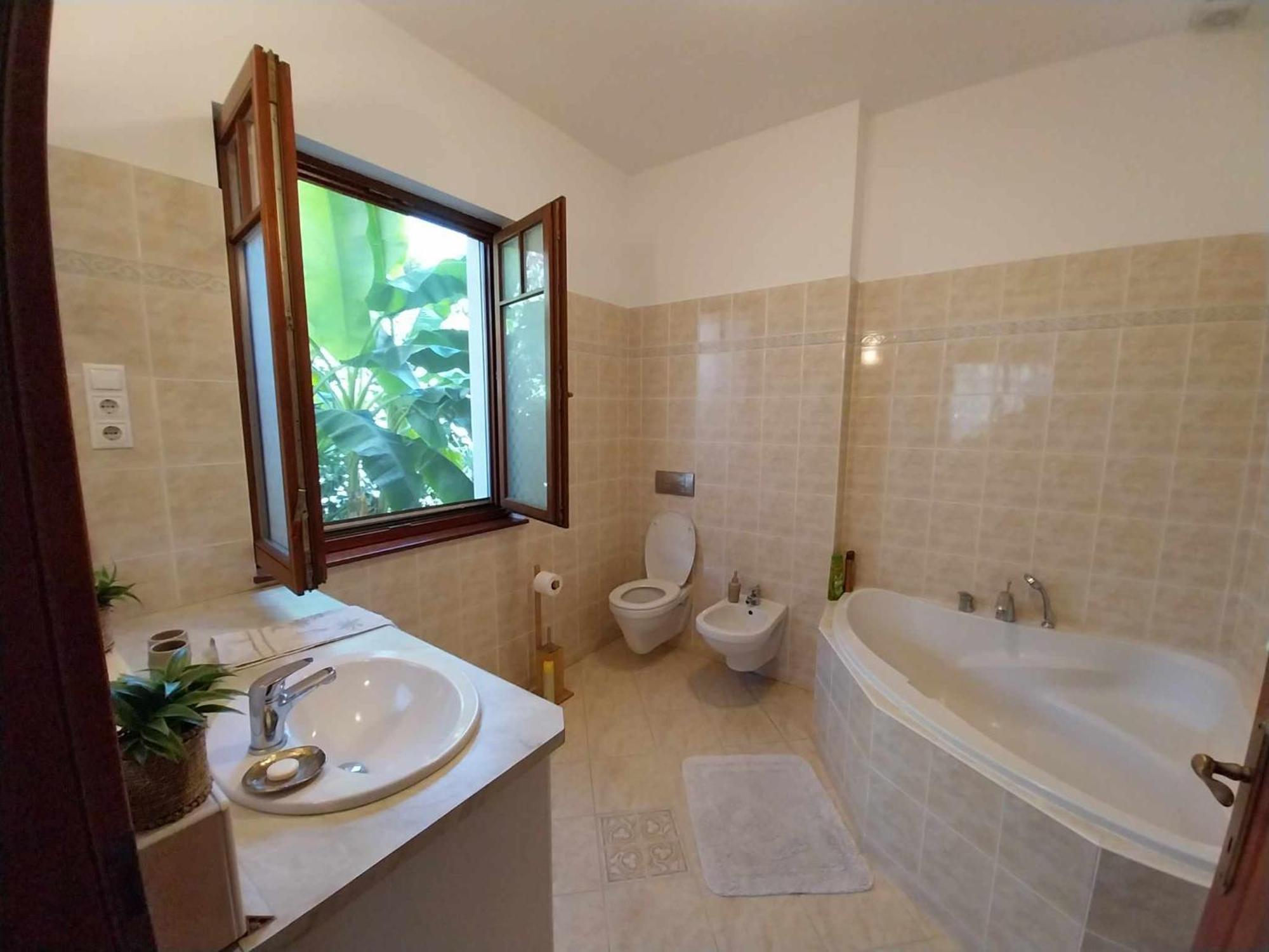House W Little Tropical Garden * Budapest