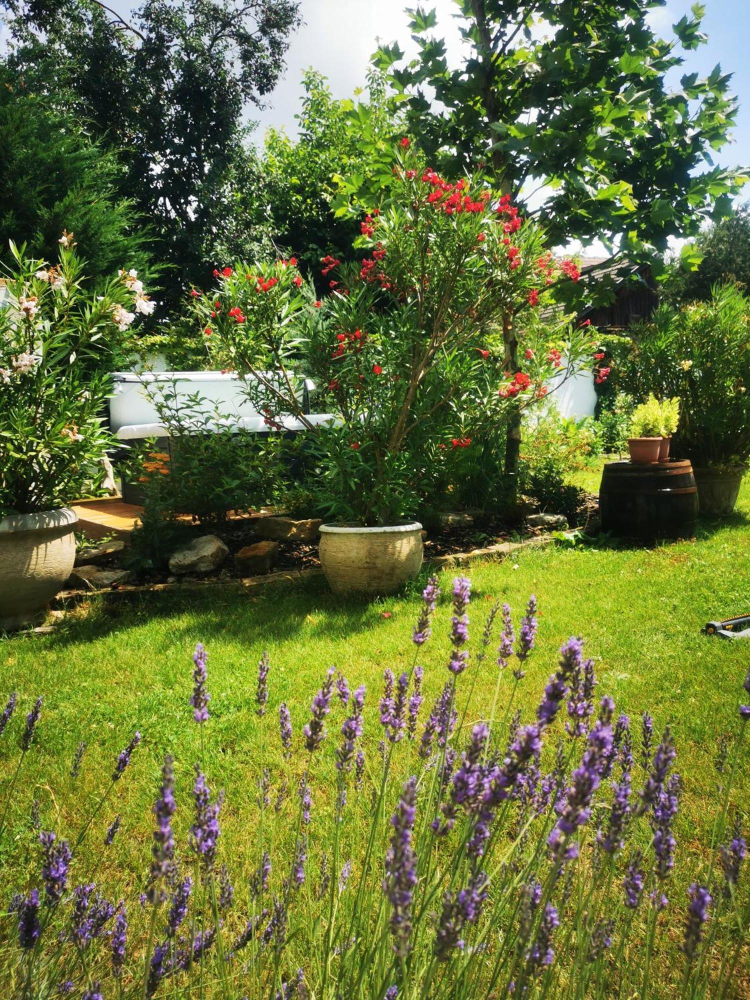 Kuria With Private Jacuzzi And Pool Apartament Budapeszt