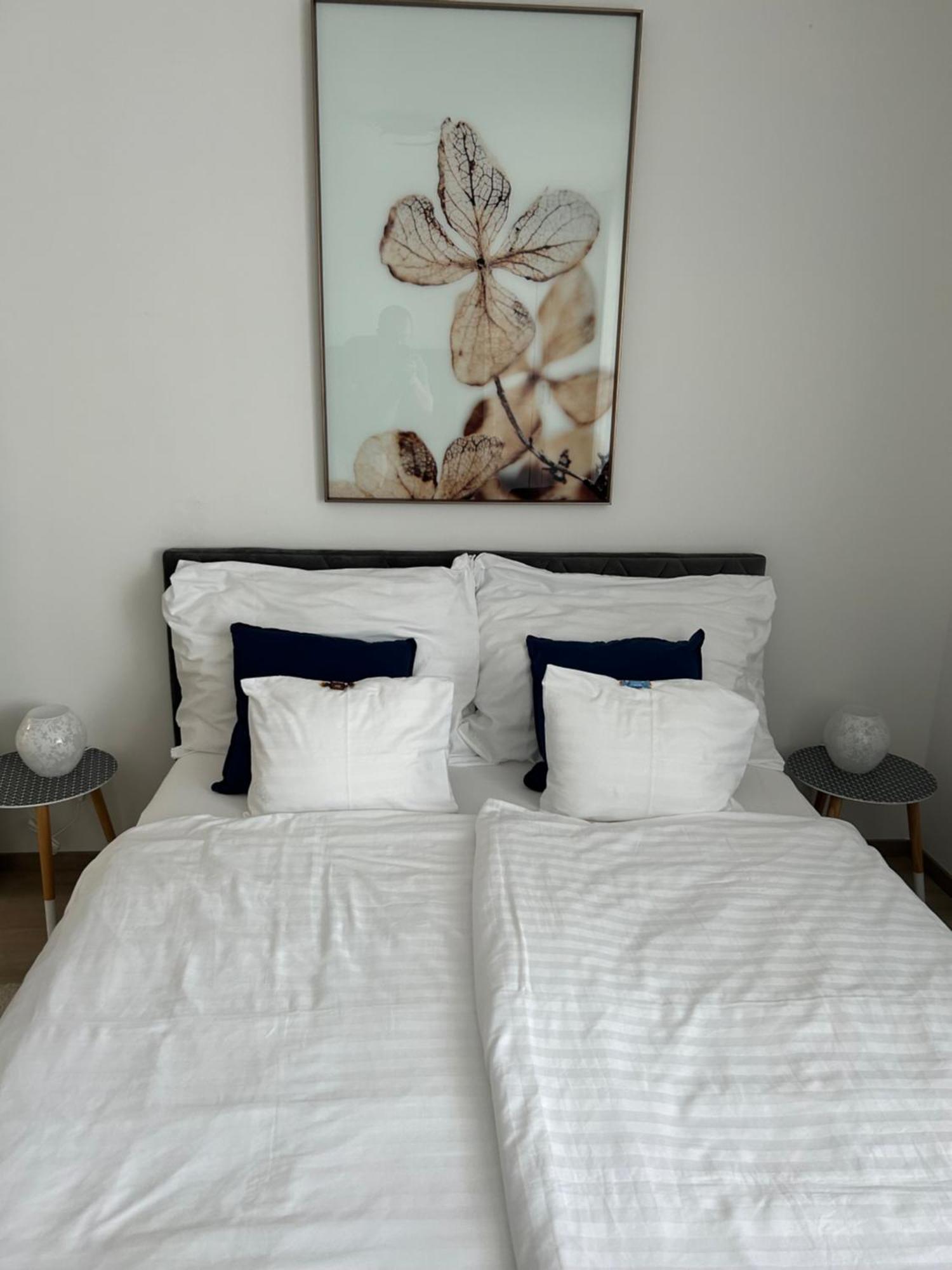 West Budapest-edge Of Downtown-free Parking Apartman *