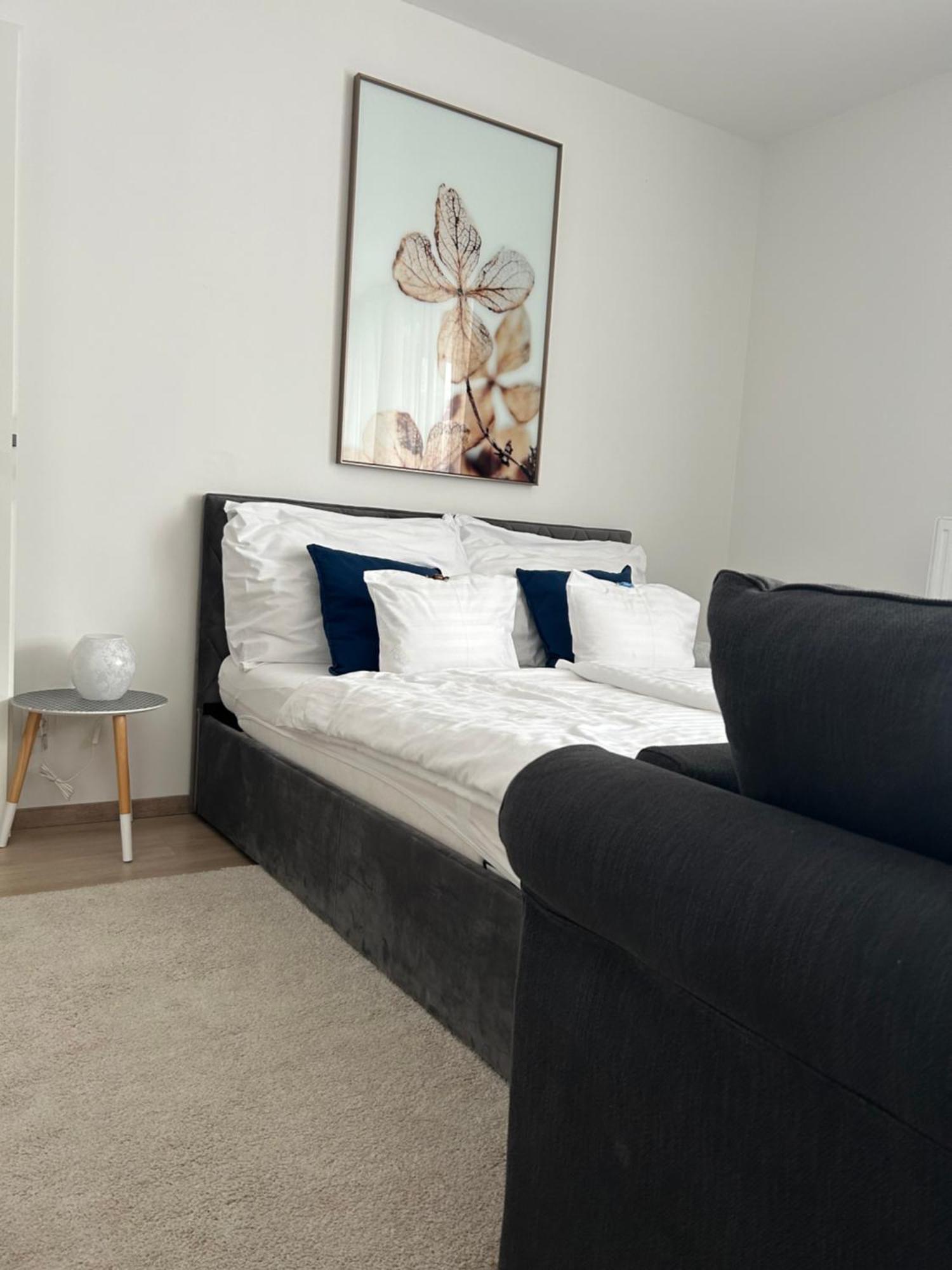 West Budapest-edge Of Downtown-free Parking Apartman Budapest