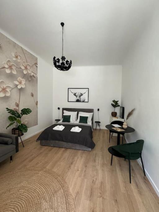 Apartament New Downtown With Hydromassage Shower, Terrace & Ac
