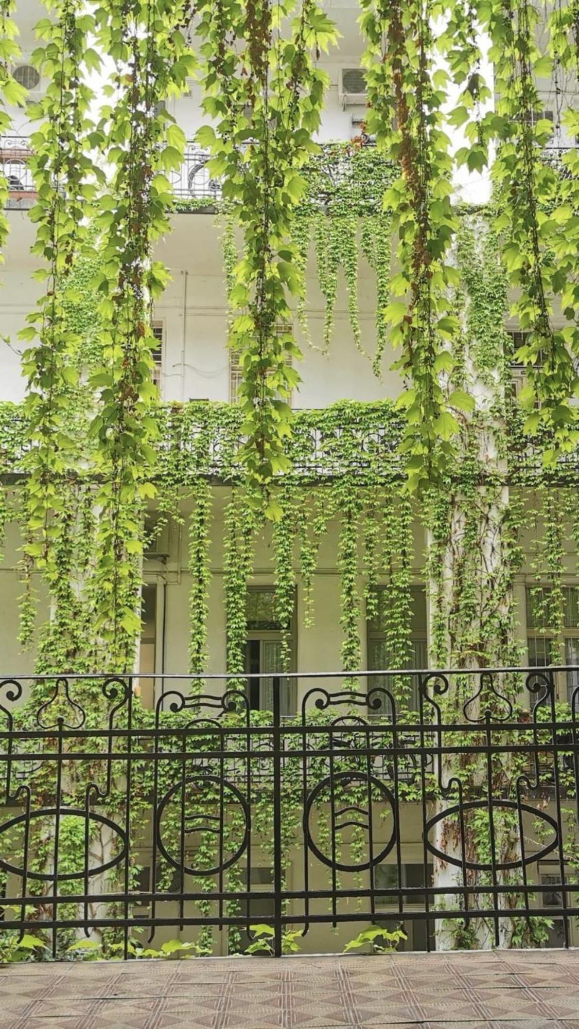 Beautiful Newly Refurbished Studio,fully Equipped Walking Distance To The Park Where Will Find The World Famous Szechenyi Thermal Bath Spa, Museums , And The Capital Circus , Ac, Smart Tv, High Speed Internet Apartment Budapest