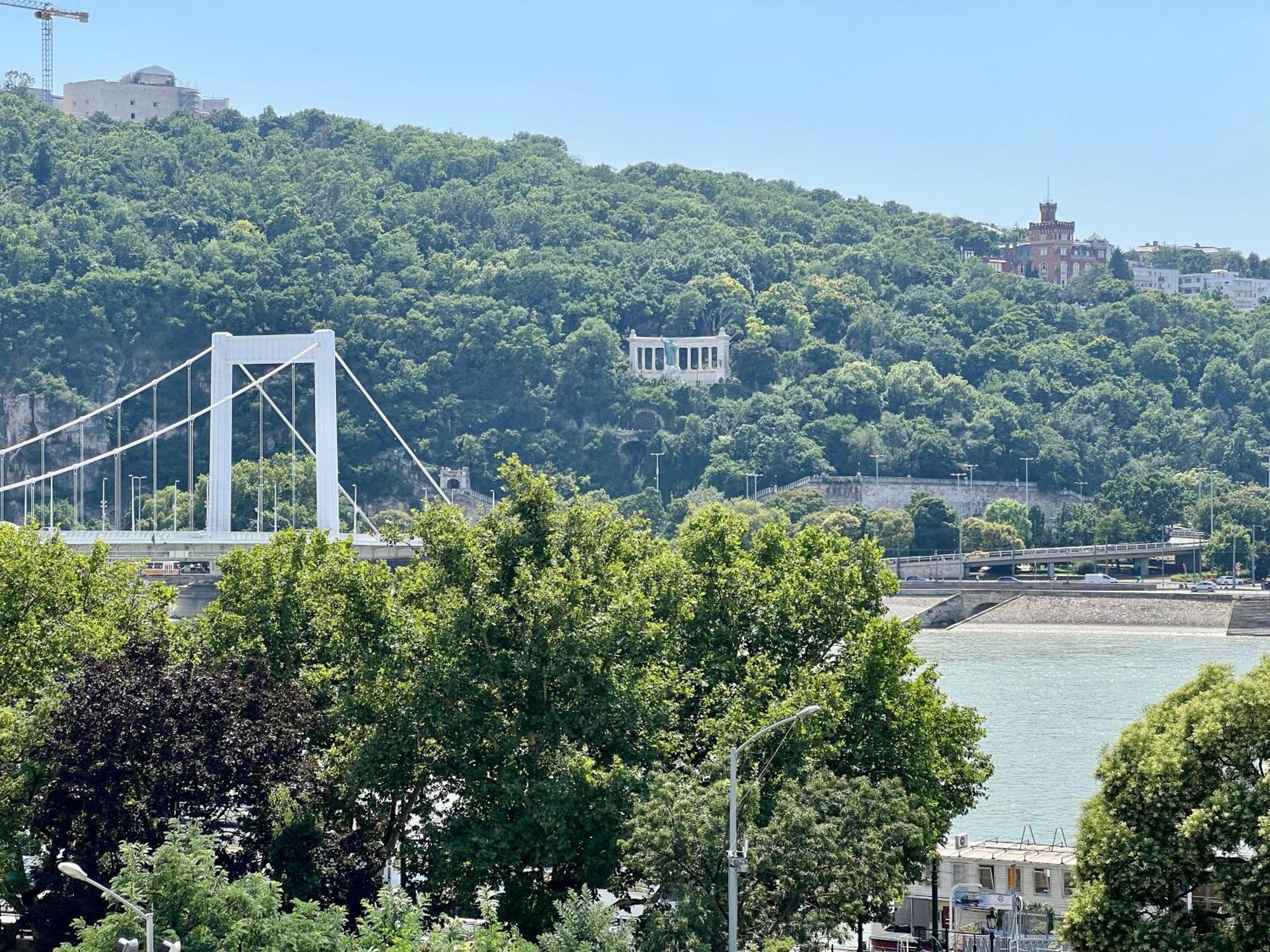 Golden At Erzsebet Bridge * Budapeszt