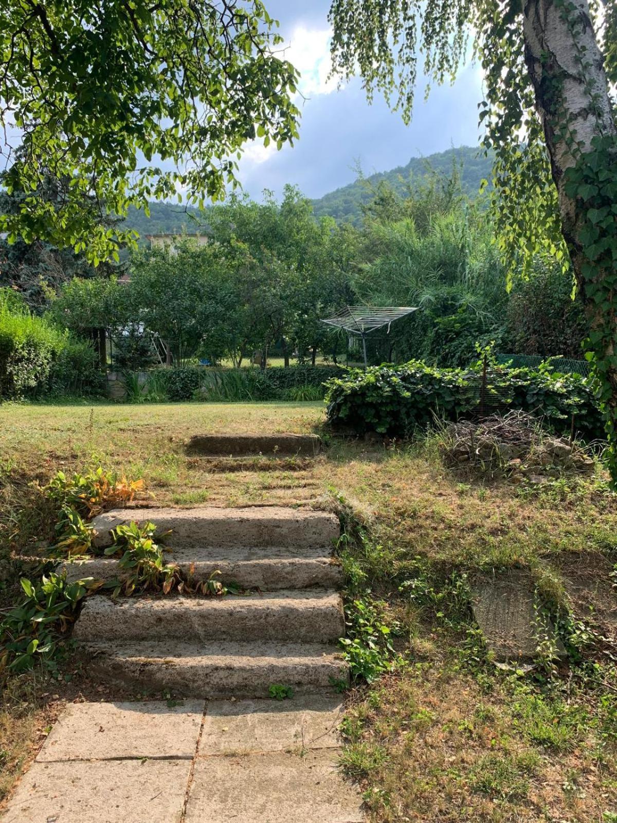 Panorama On The Hill With Free Garage Apartmán Budapešť