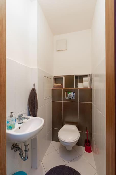 Charming With Quiet Garden In Downtown Apartamento