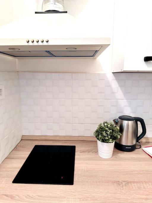 F2 Ultra Danube Loft Lägenhet