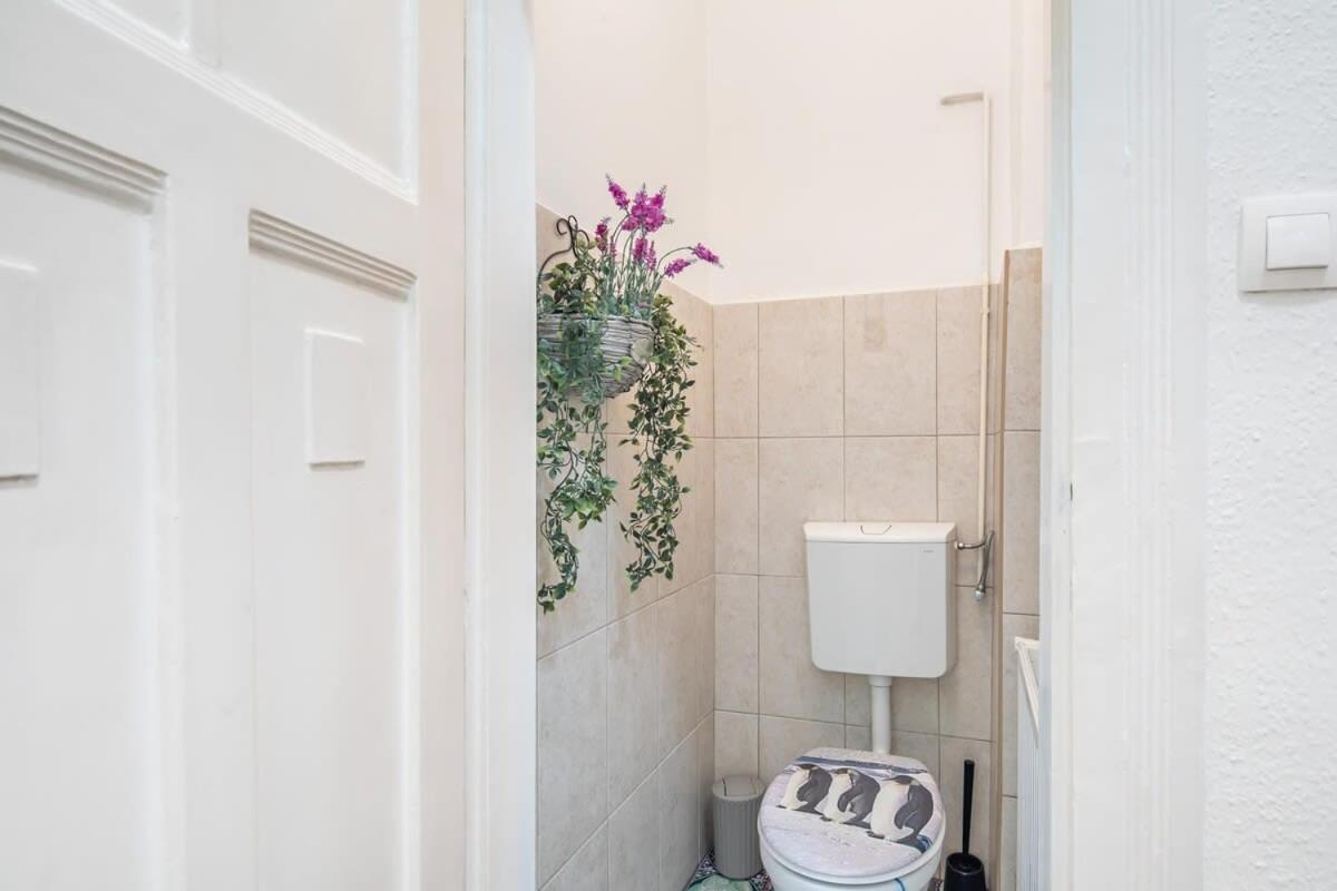 - Large And Comfy Apartamento *