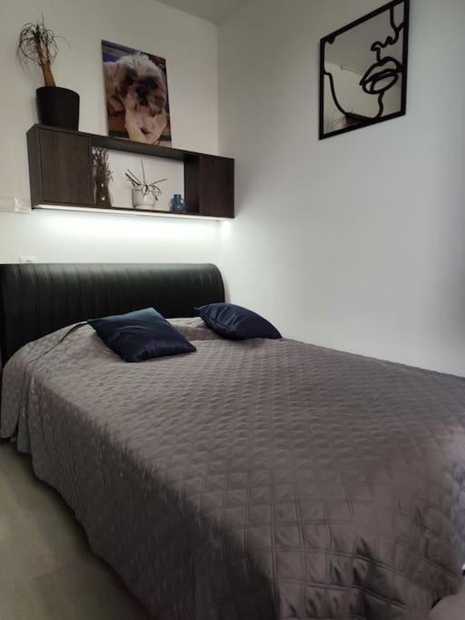 Riverloft With Wellness By Newave Apartmán Budapešť