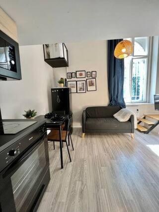 Appartement Amazing Studio In The Center Budapest