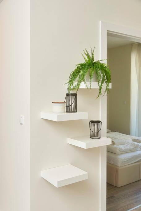 Bb23 New Flat *