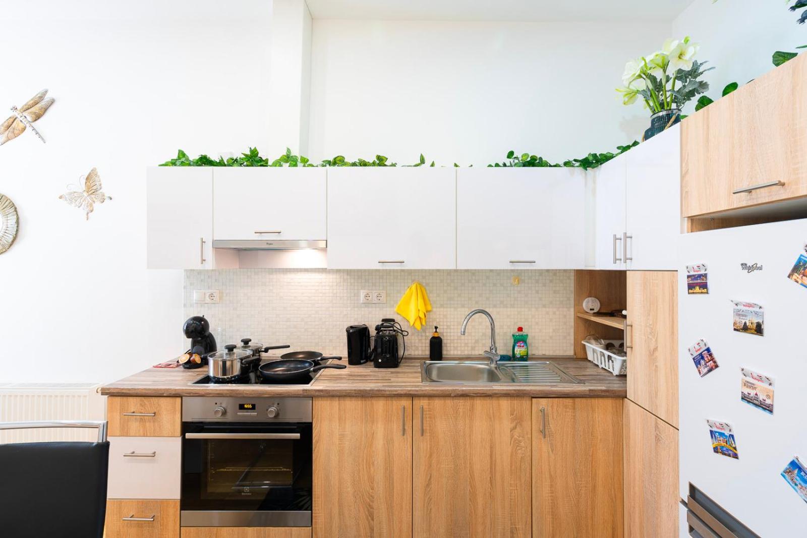 Lovely Designer With Stunning Parliament View Appartement