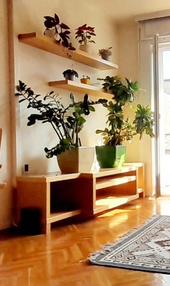 Apartment Buda Center Budapest