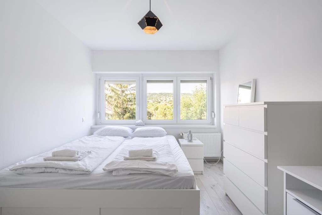 Earthy Elegance Apartmán Budapešť