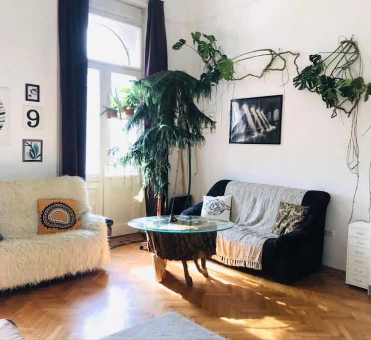 A Selva Urbana * Budapest