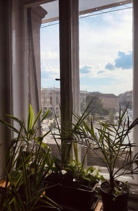 Appartement A Selva Urbana