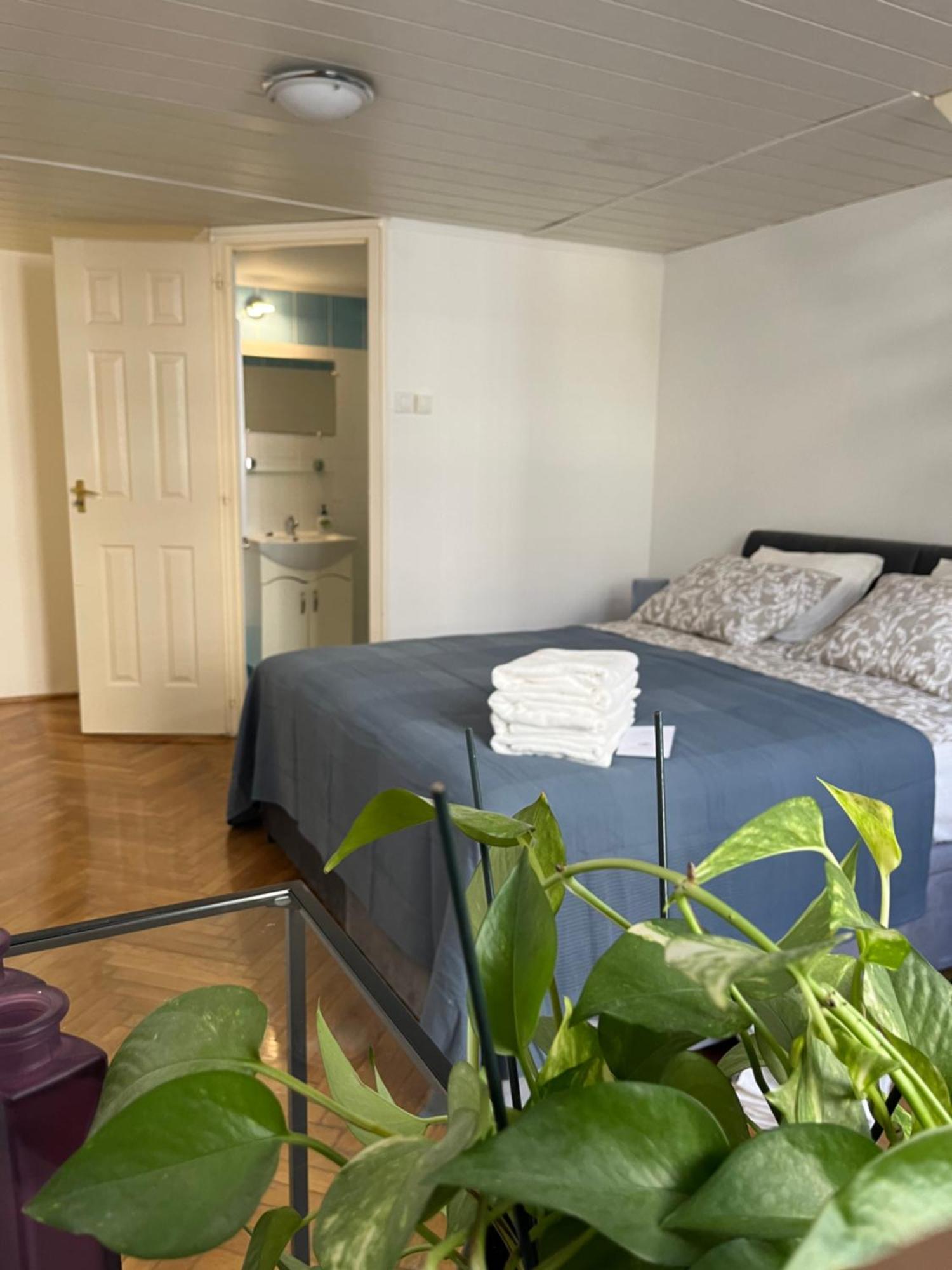 Apartman Downtown