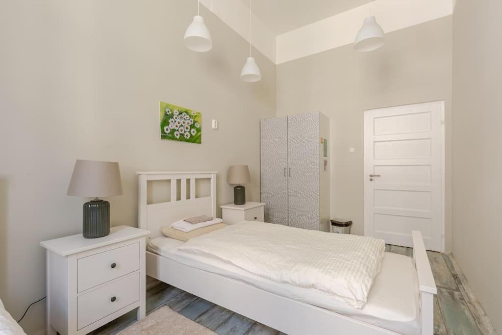 Spacious For Group In Centre Appartement Budapest