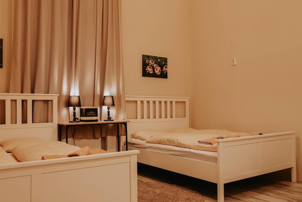 Appartement Spacious For Group In Centre Budapest