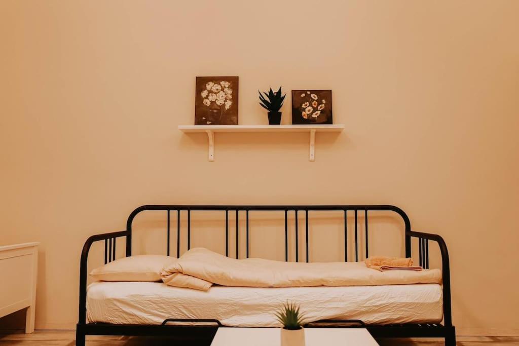Spacious For Group In Centre Appartement Budapest