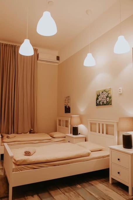 Appartement Spacious For Group In Centre Budapest