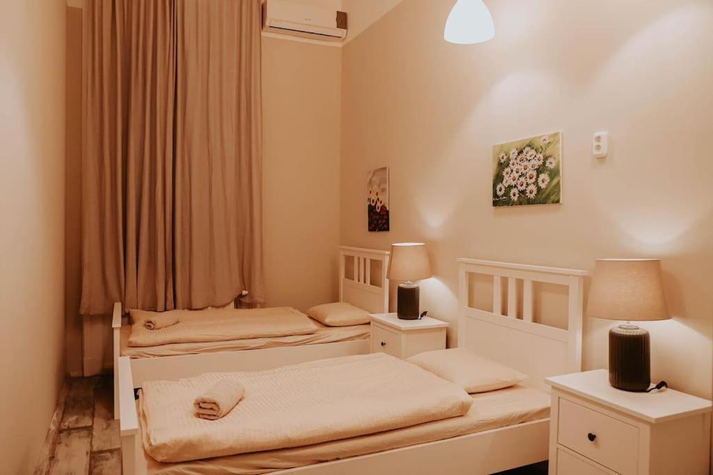 Spacious For Group In Centre Appartement Budapest