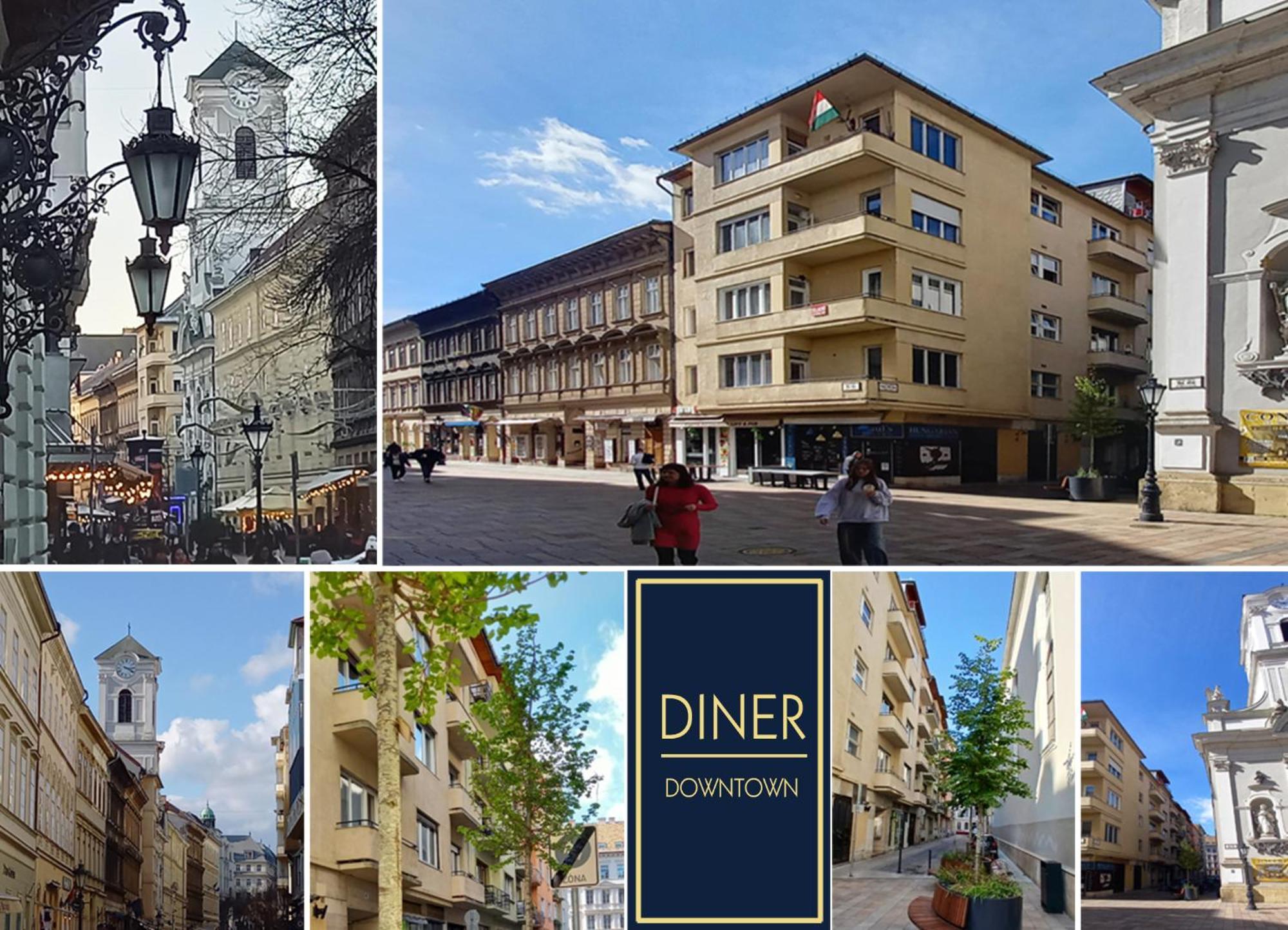 Dinerdowntown With Free Garage *