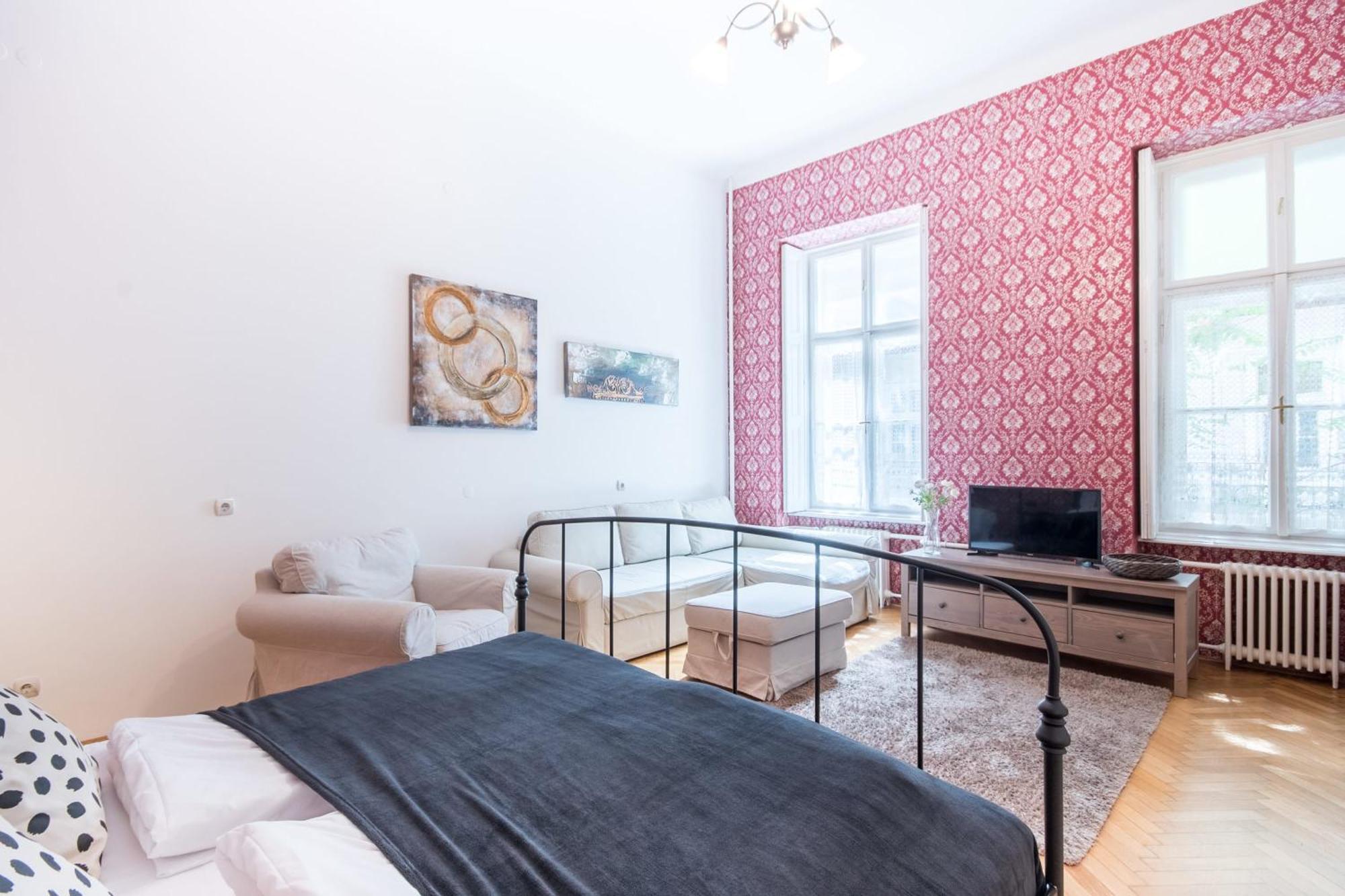Comfy Large Apartment