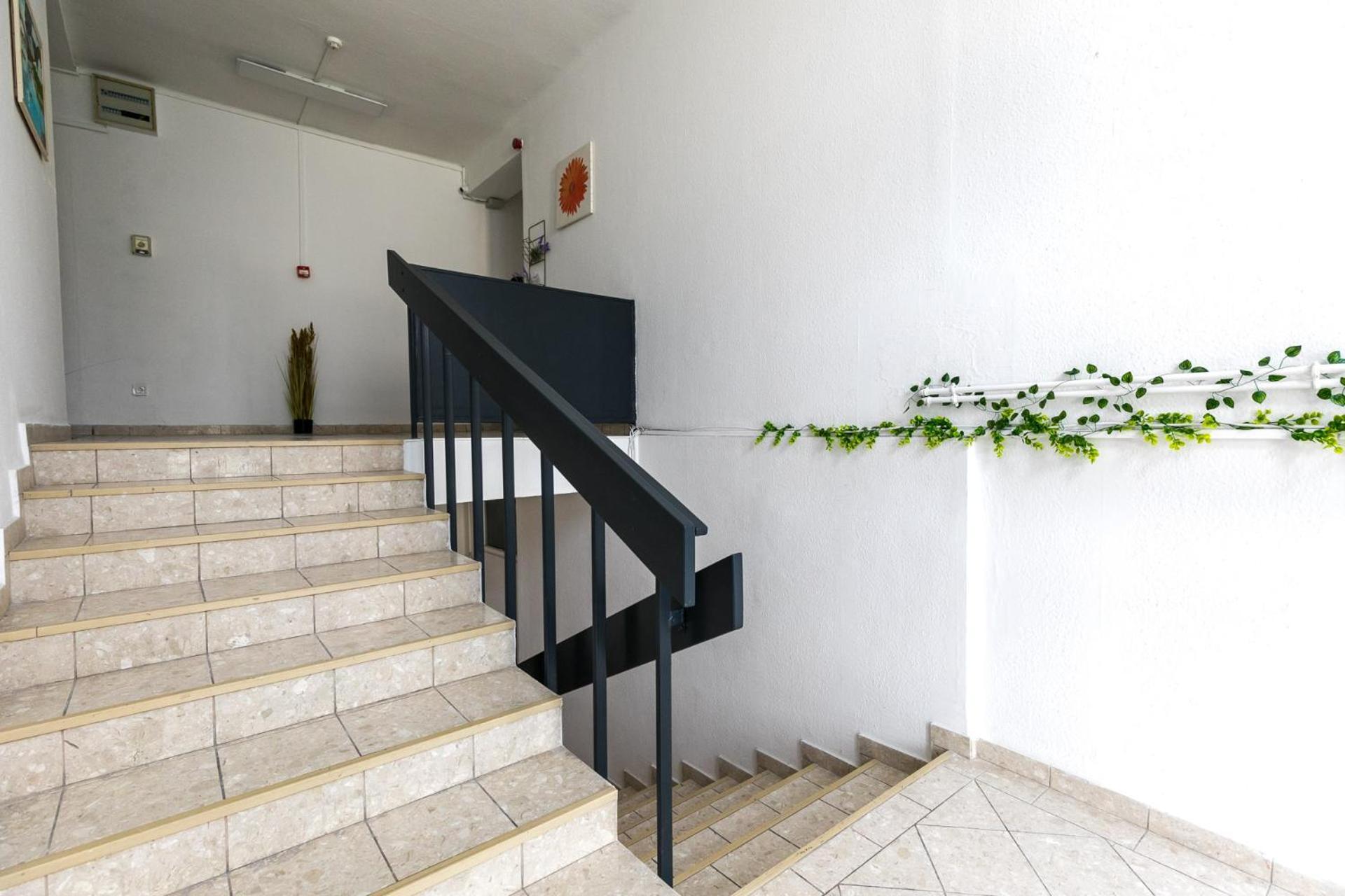 Apartman Mariposa *