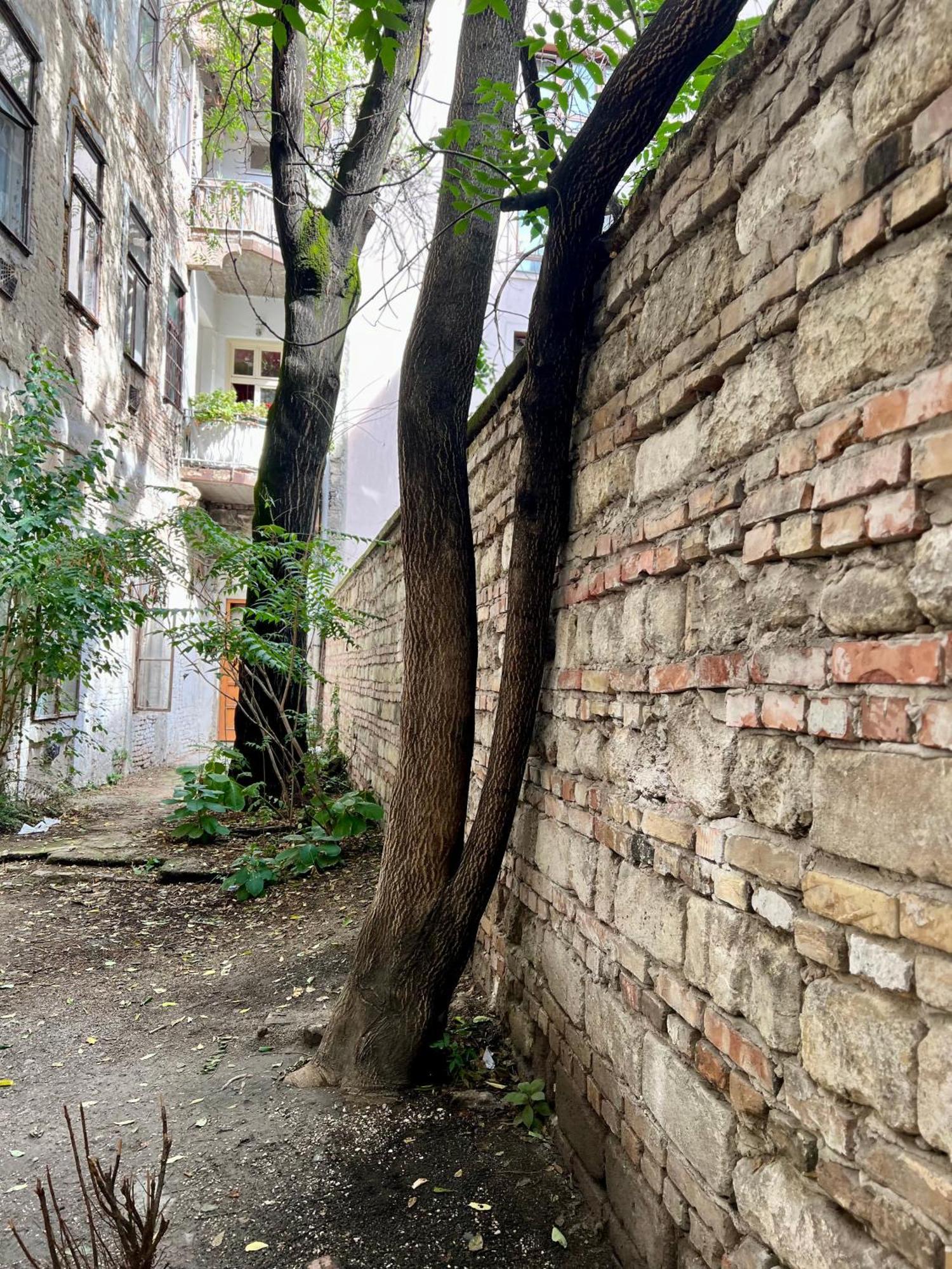 Gozsdu Court Bismarck * Budapest