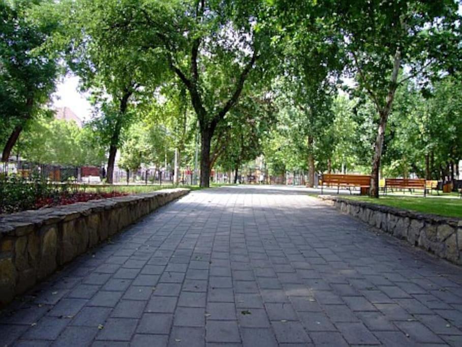 Ny Cafe Apartment, Romantic & Central, 30m2, Ac *