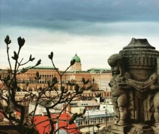 Luxury View To The Castle Lägenhet Budapest