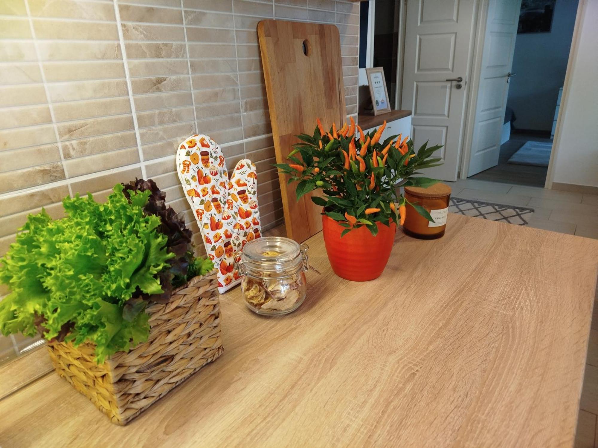 Apartamento Lady Mabel's Near To Arena, Puskas Stadion And Park, With Guarded Parking Place Budapest