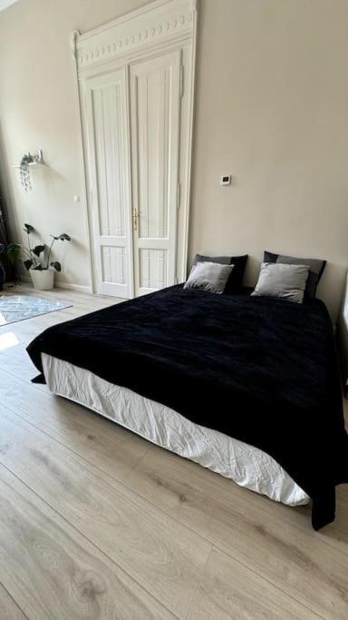 Stylish Parisian 3br In Budapest, Sleeps 9 Budapeszt