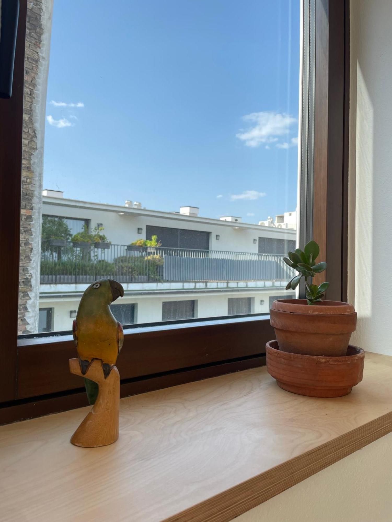 Stylish Apartment, Floor With Private Terrace Apartment