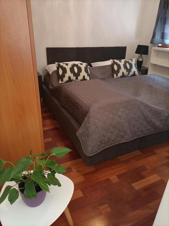 Mandala Budapest