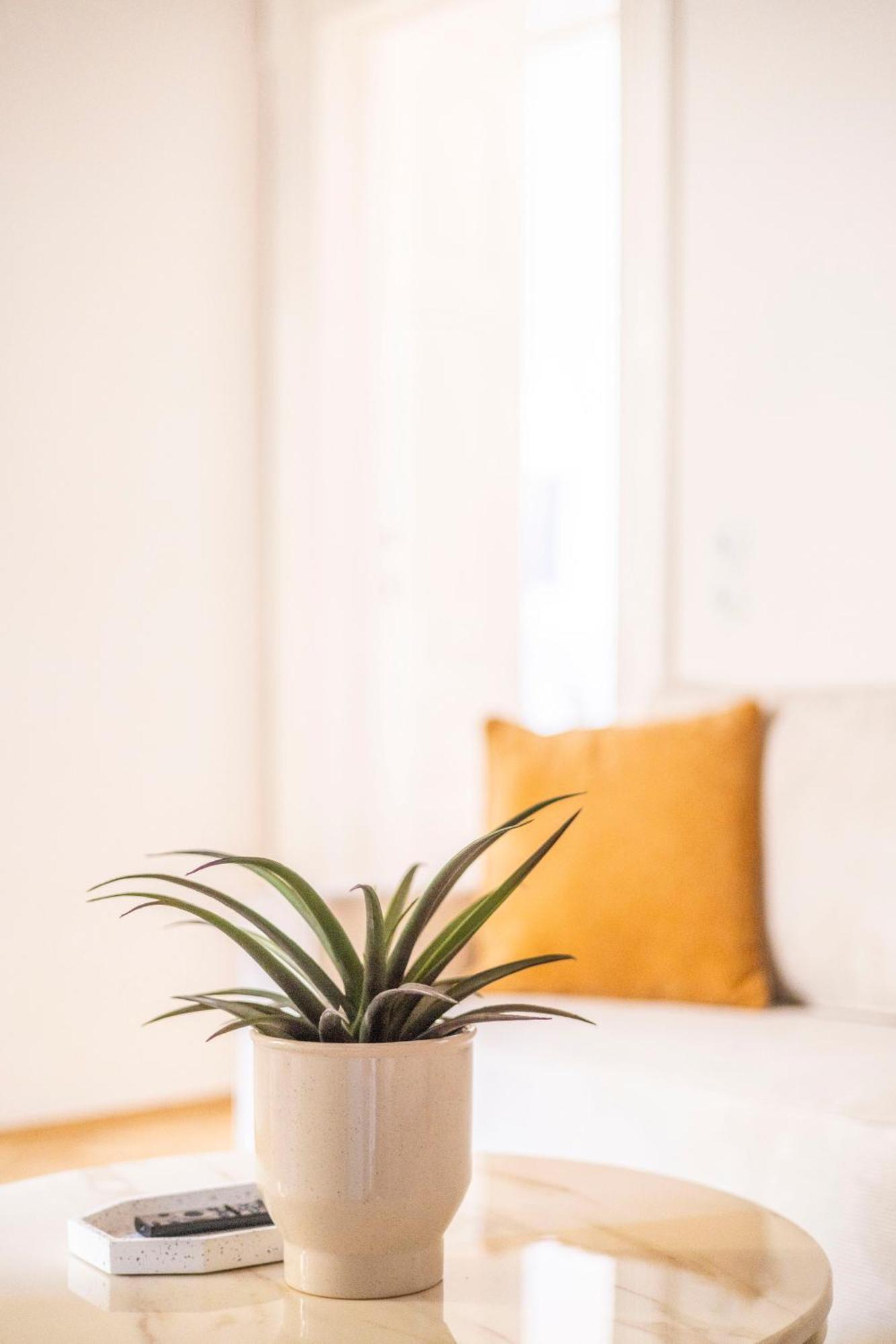 Apartament Exclusive & Cozy W' Balcony *