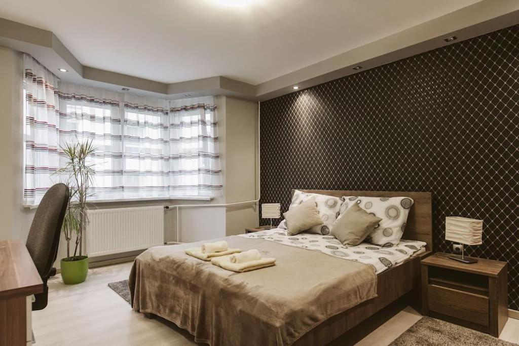 Neat & Comfy Near The Danube