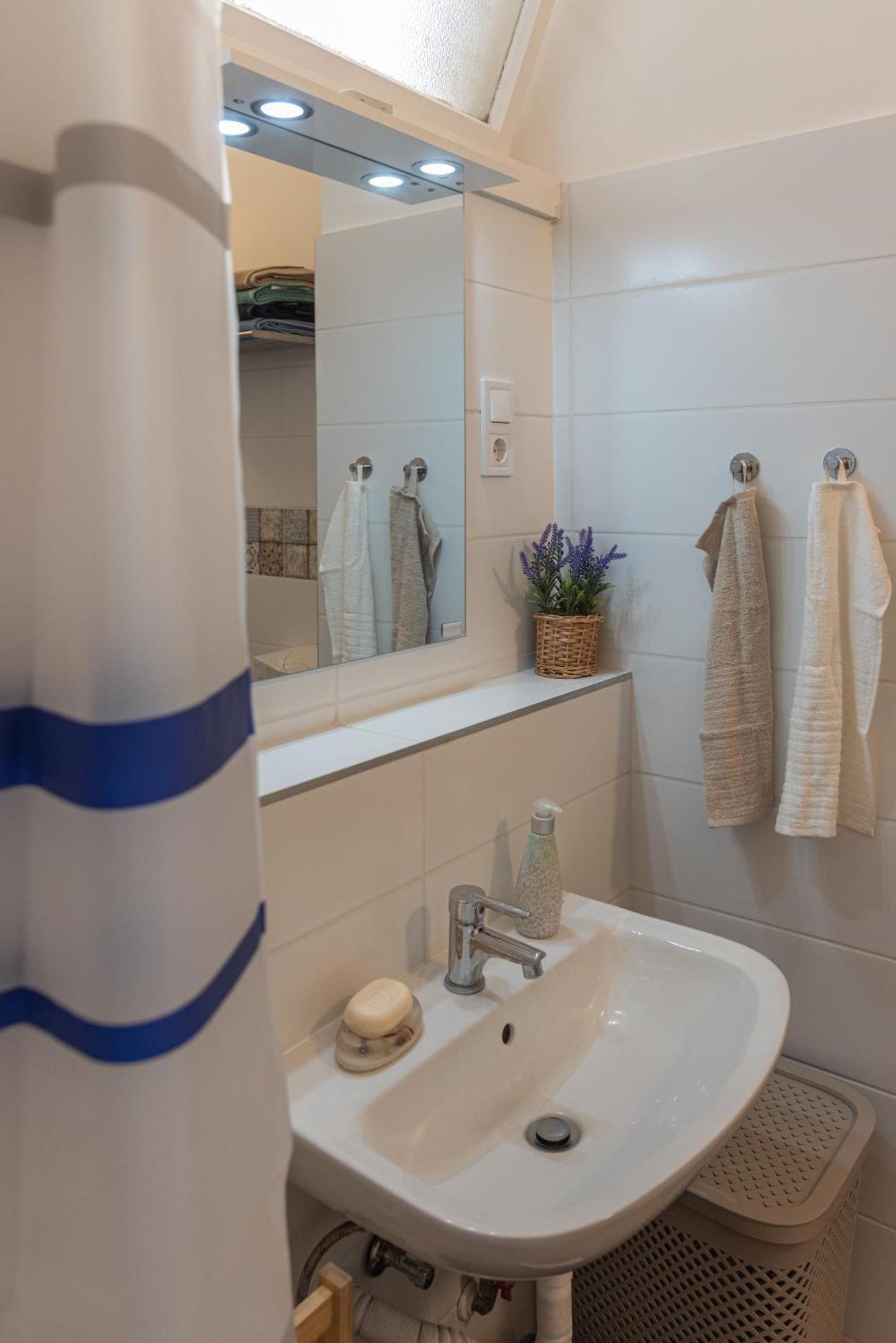 Viol Apartment