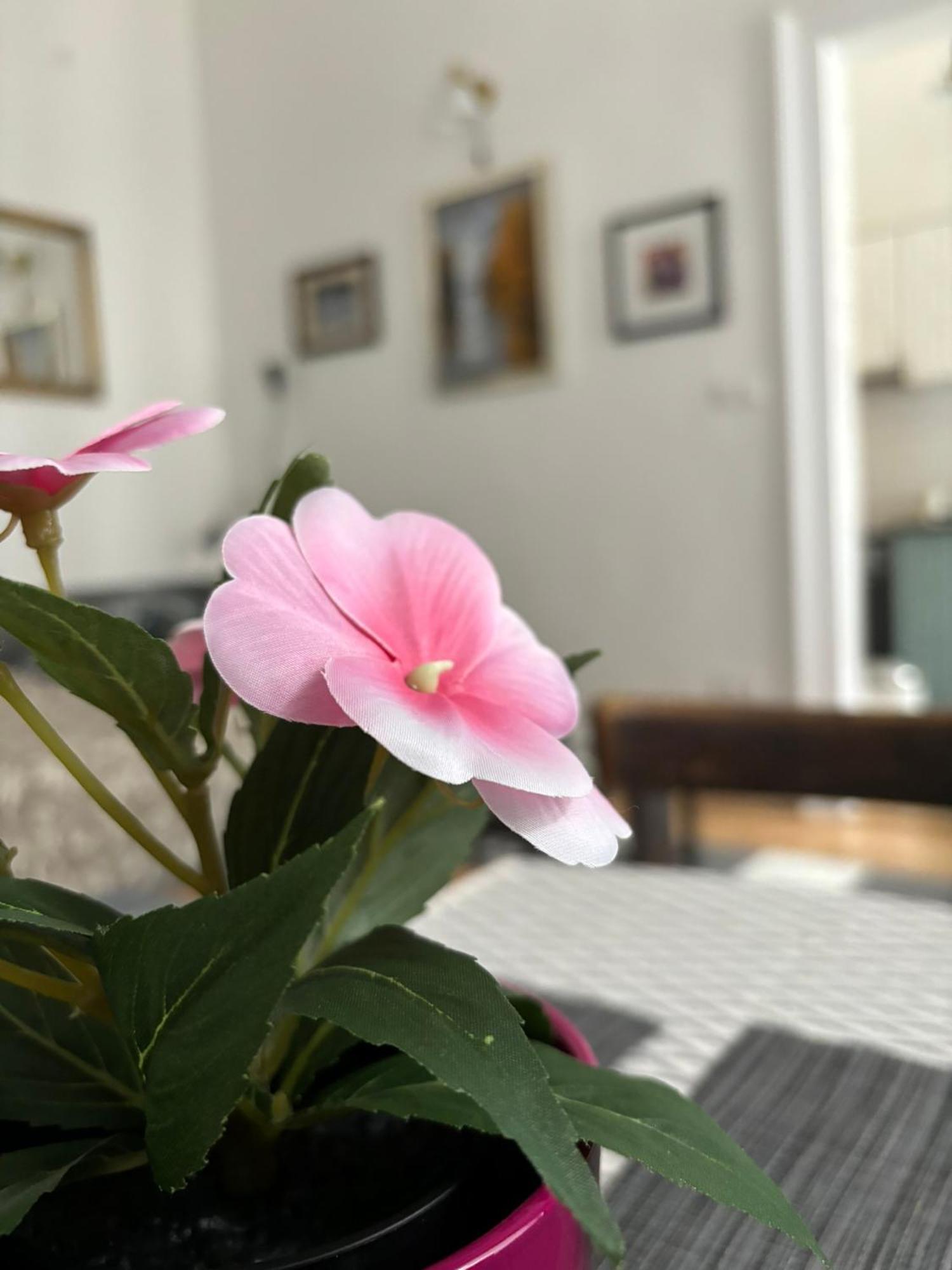 Kiraly Utca 15 Cozy Apartamento *