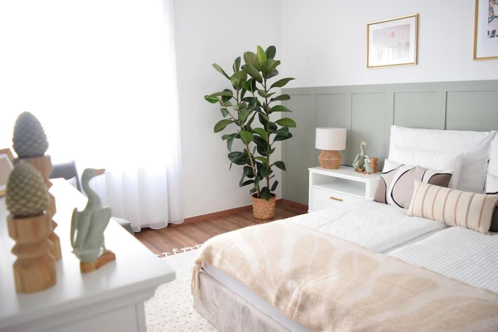 Cozy Complex - The Urban Retreat Appartamento *