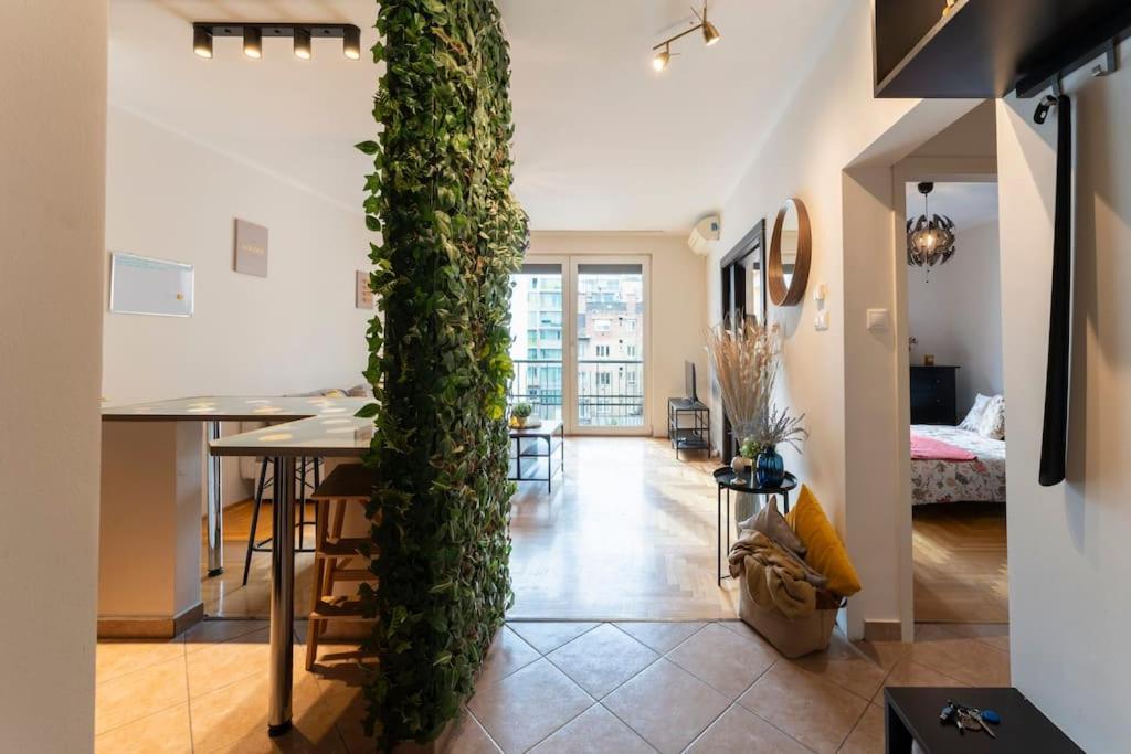 Apartament Bolero