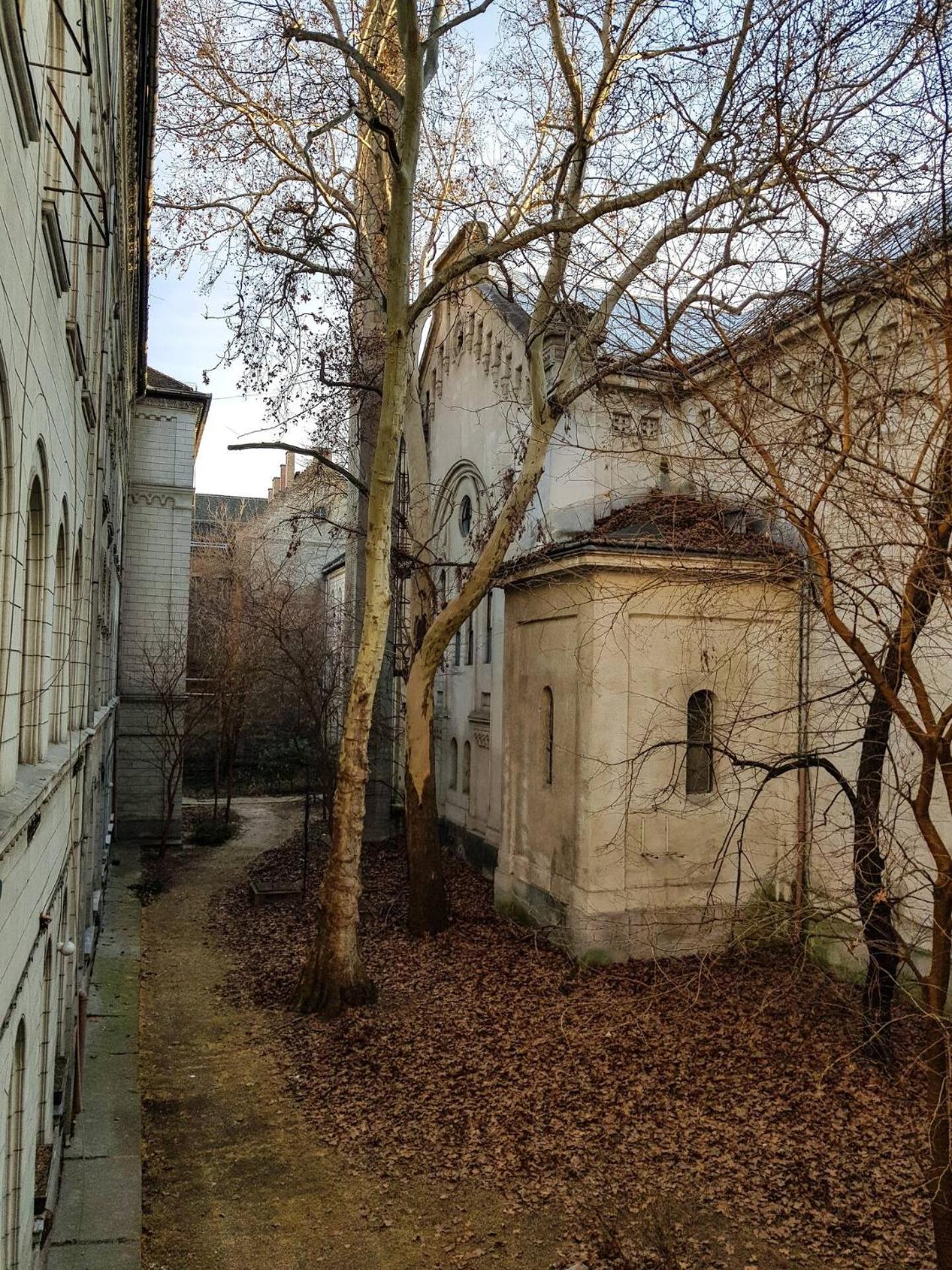 Beautiful And Cosy In Centre * Budapest